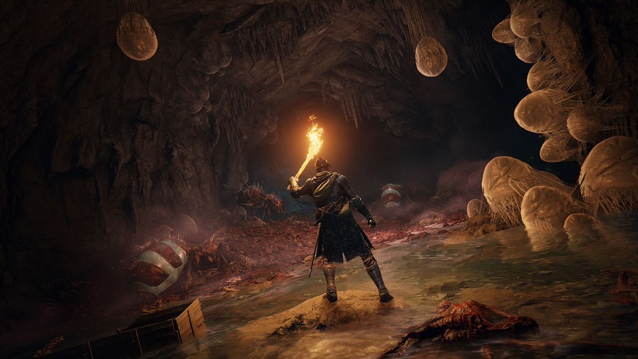 Elden Ring obraz 3