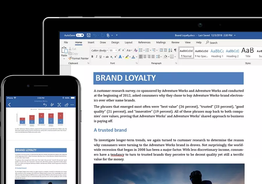 Microsoft Word 