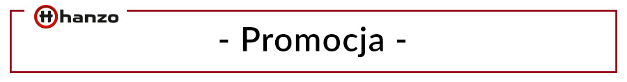 Promocja miesiąca