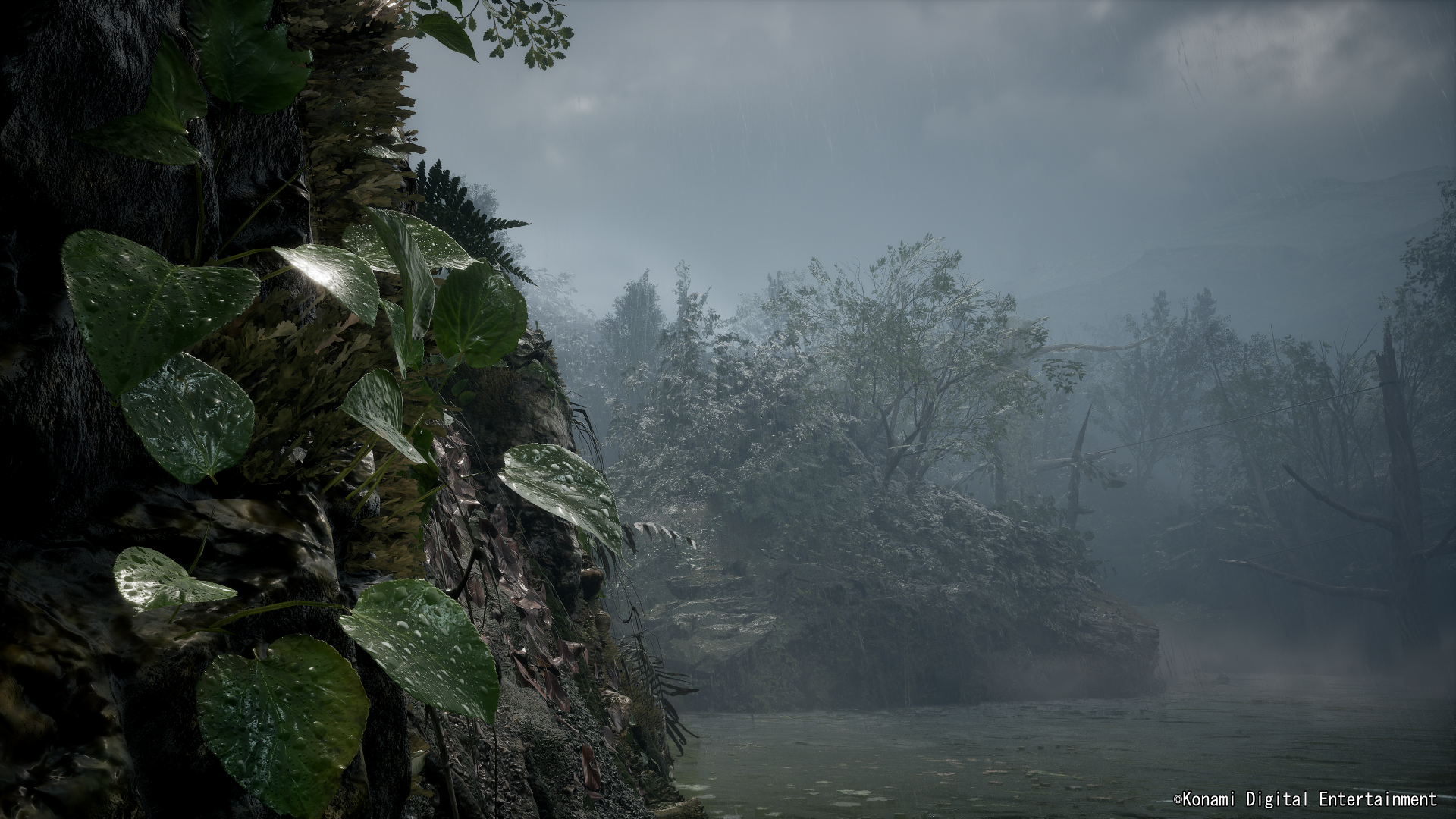 Metal Gear Solid Delta Snake Eater Day